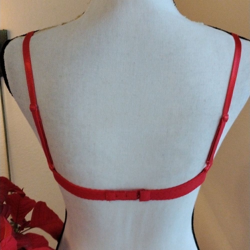 Red Lace Bra - Picture 4 of 7
